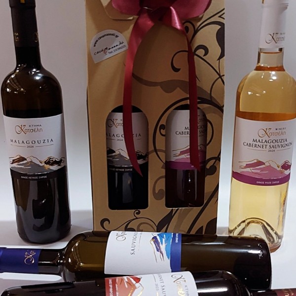 ΧΑΡΤΙΝΗ ΣΥΣΚΕΥΑΣΙΑ  2Φ 