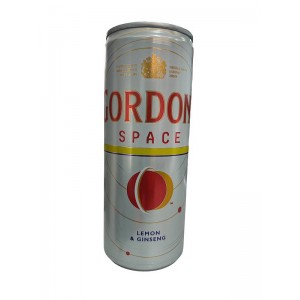 GORDON'S SPACE ΚΟΥΤΙ 250ml